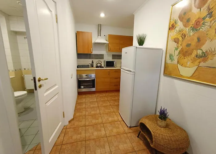 Dream - Old Town Sunny Bee Prime Location Riga